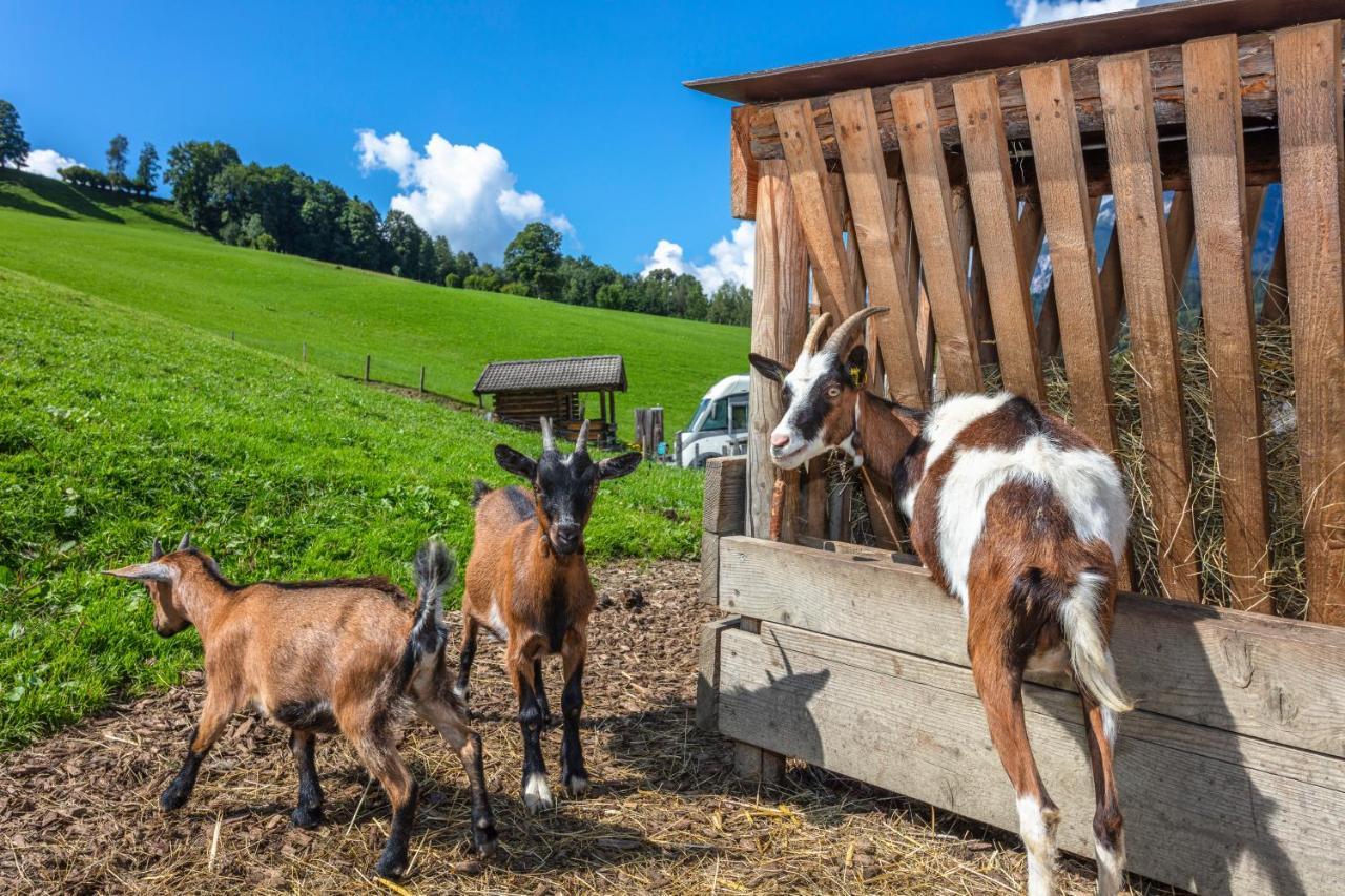 Biobauernhof Stegerbauer Appartement Maria Alm am Steinernen Meer Buitenkant foto