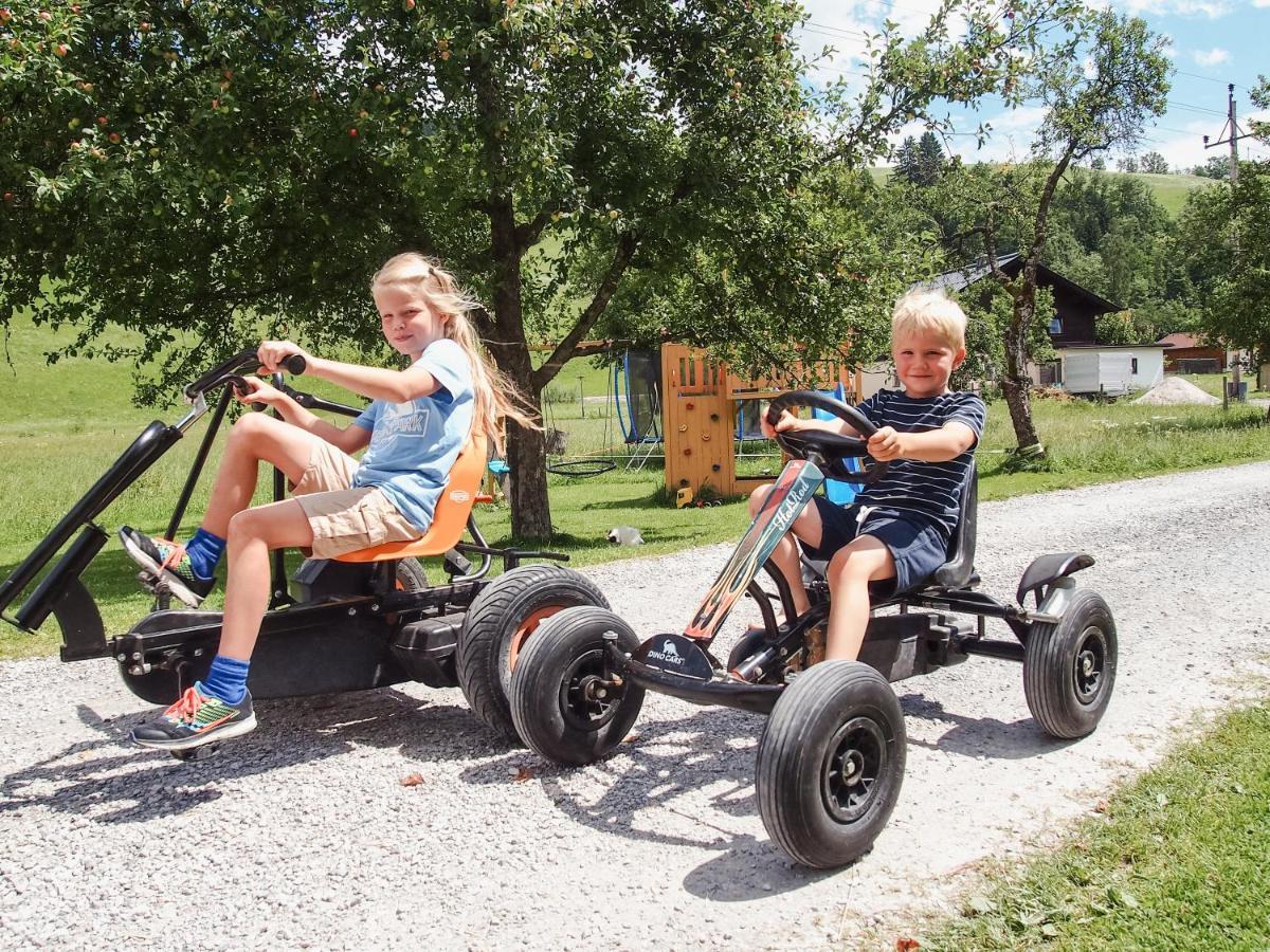 Biobauernhof Stegerbauer Appartement Maria Alm am Steinernen Meer Buitenkant foto