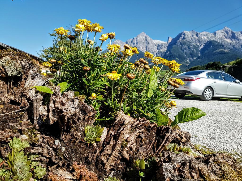 Biobauernhof Stegerbauer Appartement Maria Alm am Steinernen Meer Buitenkant foto