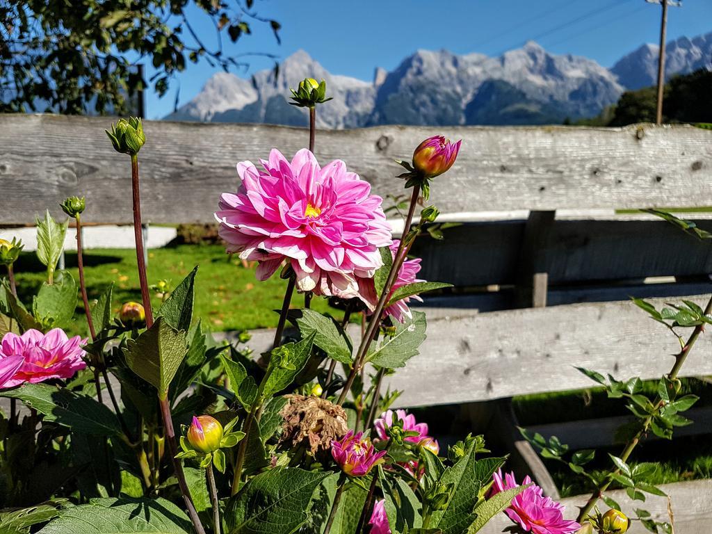 Biobauernhof Stegerbauer Appartement Maria Alm am Steinernen Meer Buitenkant foto