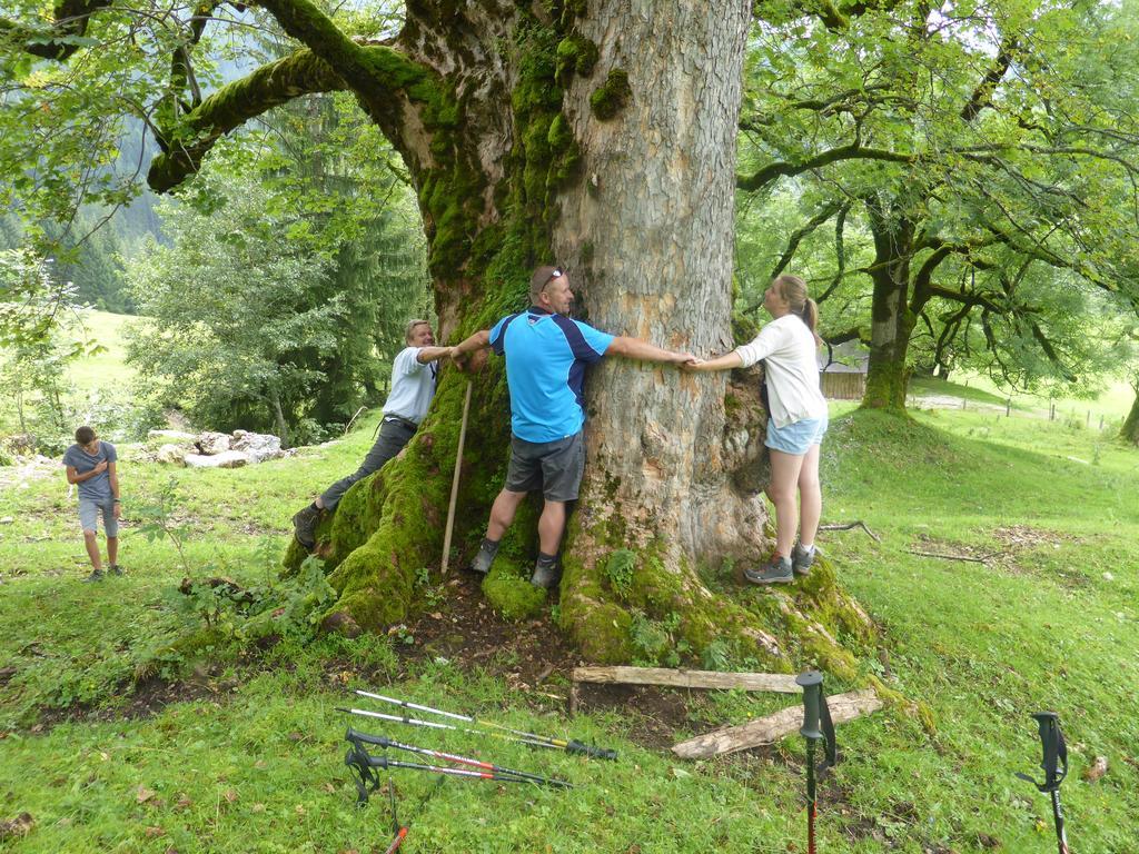 Biobauernhof Stegerbauer Appartement Maria Alm am Steinernen Meer Buitenkant foto