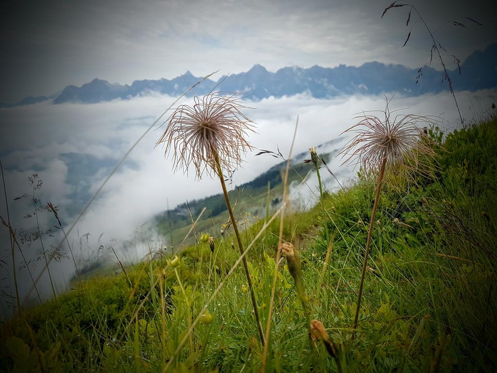 Biobauernhof Stegerbauer Appartement Maria Alm am Steinernen Meer Buitenkant foto