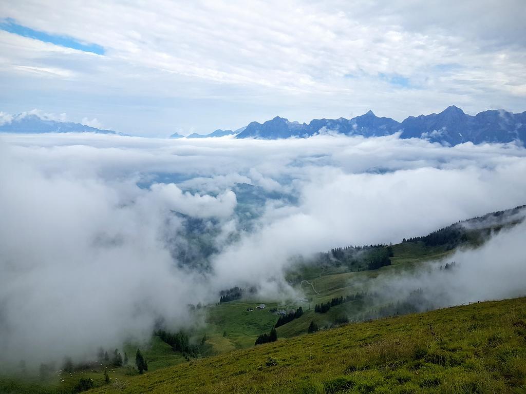 Biobauernhof Stegerbauer Appartement Maria Alm am Steinernen Meer Buitenkant foto