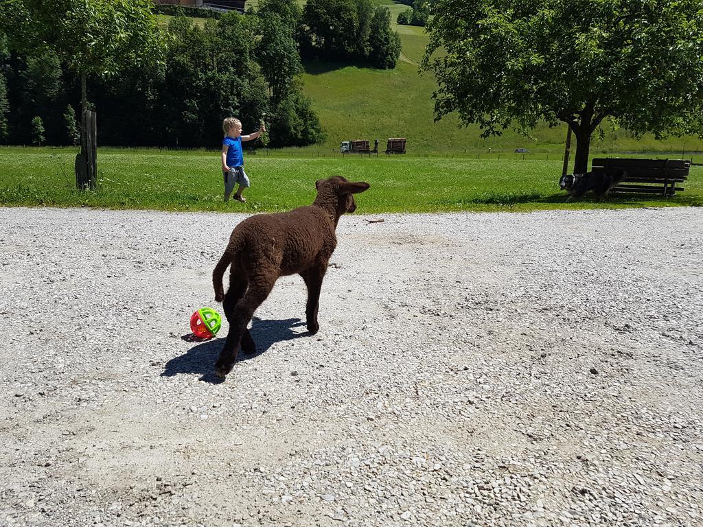 Biobauernhof Stegerbauer Appartement Maria Alm am Steinernen Meer Buitenkant foto