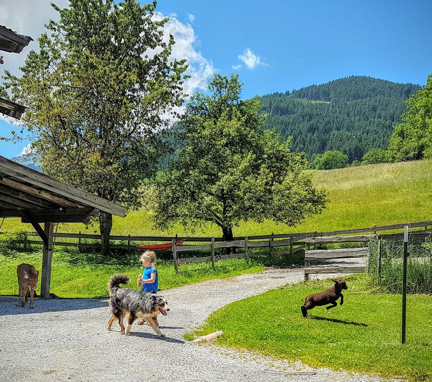 Biobauernhof Stegerbauer Appartement Maria Alm am Steinernen Meer Buitenkant foto