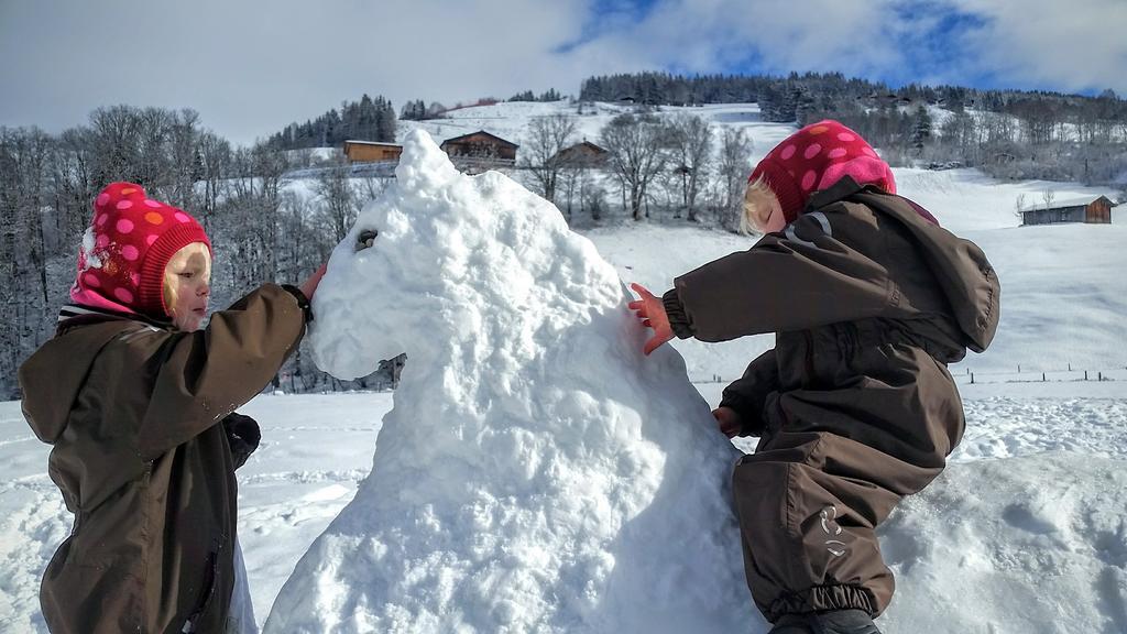 Biobauernhof Stegerbauer Appartement Maria Alm am Steinernen Meer Buitenkant foto