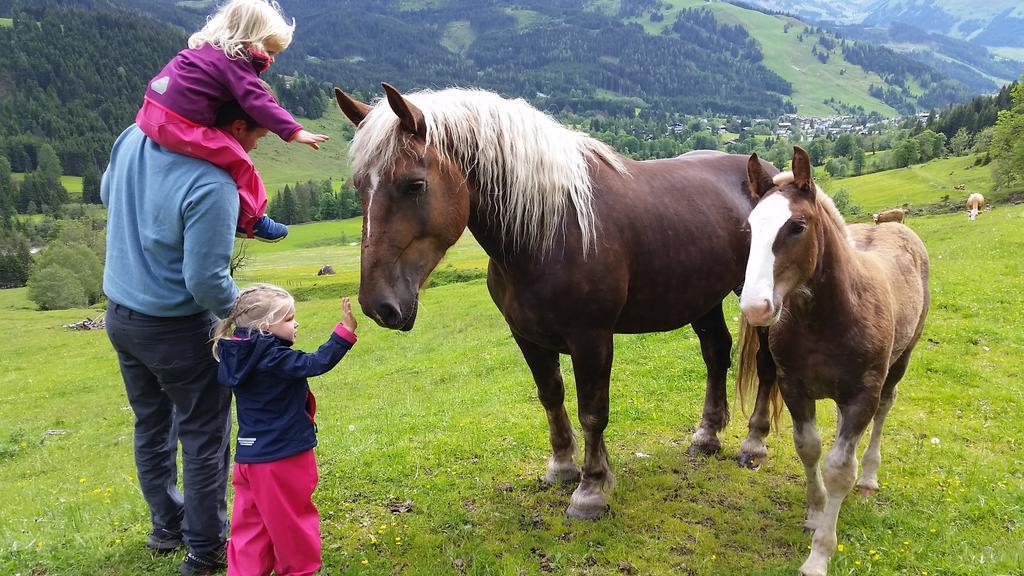 Biobauernhof Stegerbauer Appartement Maria Alm am Steinernen Meer Buitenkant foto